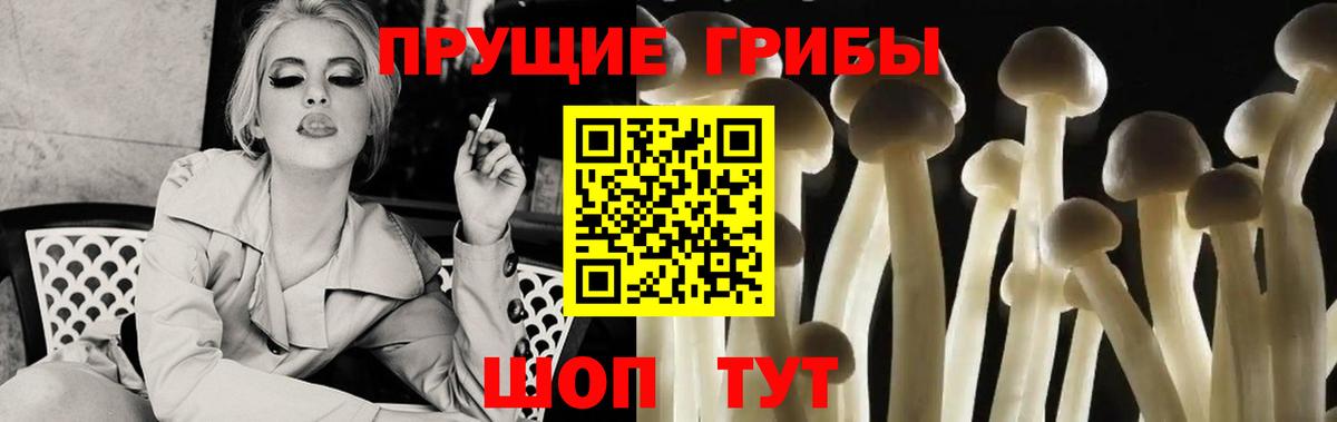 Чернушка  Псилоцибиновые грибы мухоморы  Вход с VPN 